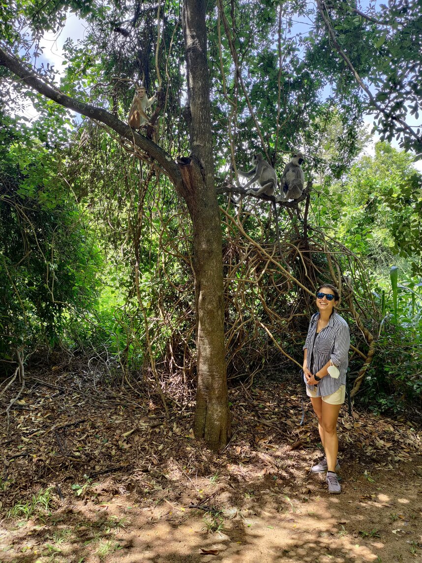 Ce limba se vorbeste in Sri Lanka